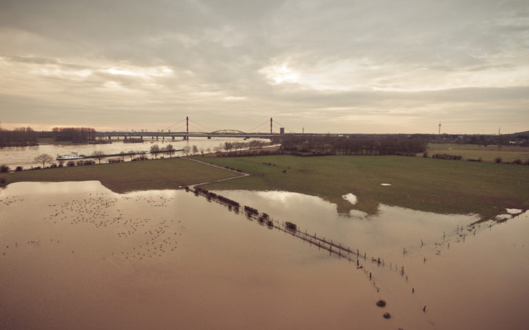 Rhein Hochwasser Januar 2018 in Duisburg Baerl